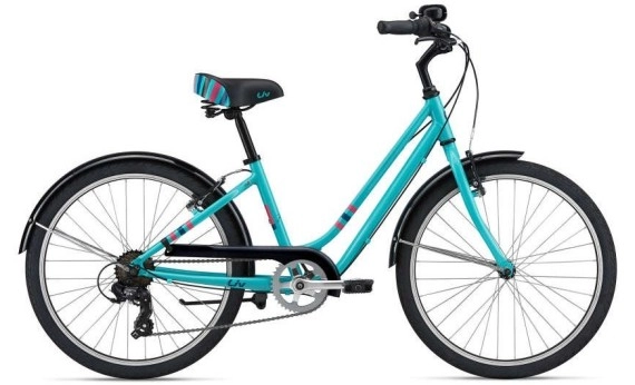 Giant Liv Flourish 24