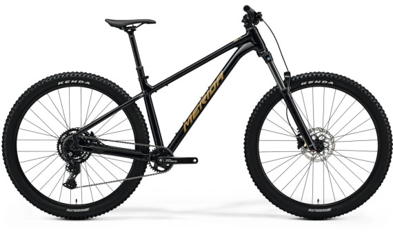 Merida Big.Trail 300 2025