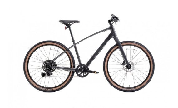 Trek Dual Sport 2 Gen 5 2024