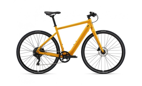 Giant Momentum Voya E+3 25km/h 2023