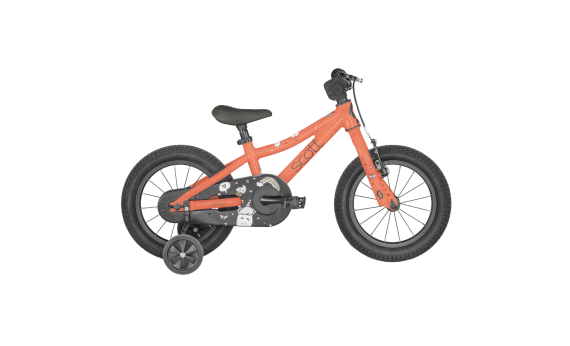 Scott Contessa 14 2025