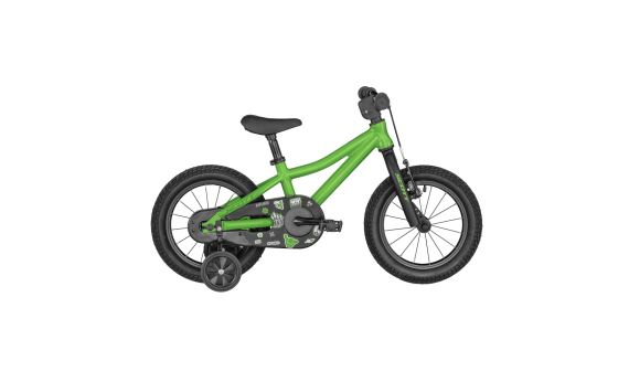 Scott Roxter 14 2025