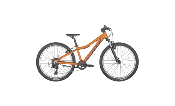 Scott Scale 24 2025