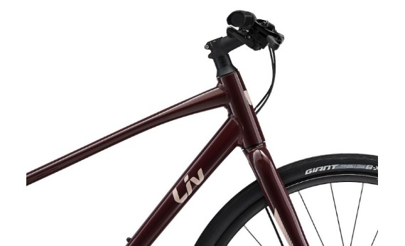 Велосипед Giant Liv Alight 3 DD Disc 2025