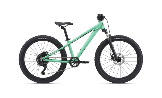 Giant Liv STP 24 FS 2025