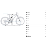 Велосипед Orbea MX 20 XC 2025