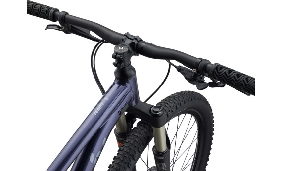 Велосипед Giant Liv Tempt 1 2024