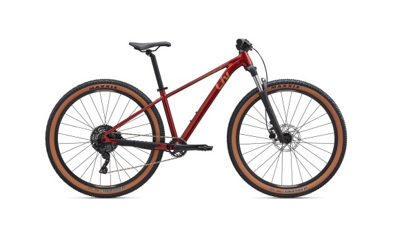 Giant Liv Tempt 2 2026