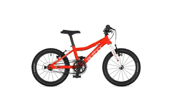 Author Record 16 2026