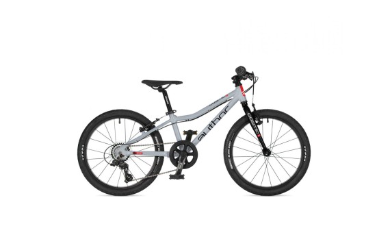 Author Cosmic 20 2026