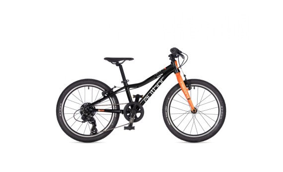 Author Record 20 2026