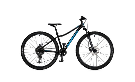 Author A-Matrix 29D 2026