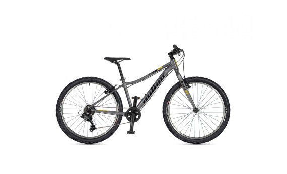 Author Limit 24 2026