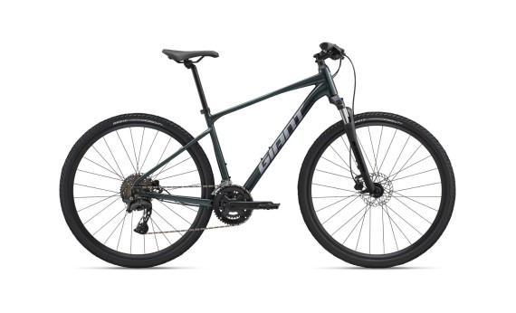 Giant Roam 2 2026
