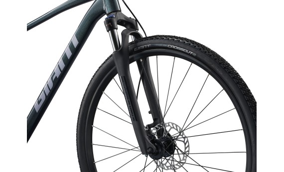 Велосипед Giant Roam 2 2026