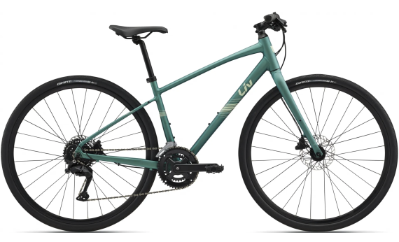 Giant Liv Alight 2 Disc 2026