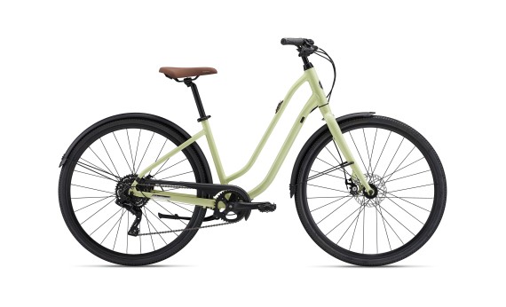 Giant Liv Flourish 3 Disc 2026