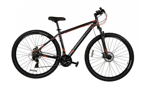 Comanche Prairie Disc 29