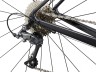 Giant Contend 3 28 2022