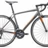 Giant Contend 1 28  2019